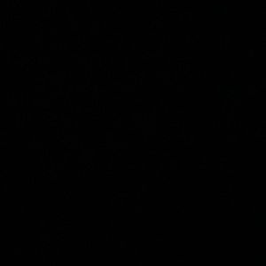 Meet your Posher, Parker